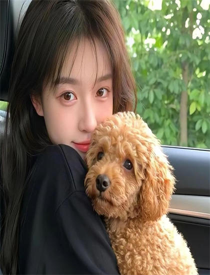 《春子,起来啦》和其他作品相比如何？对比分析与评价，收视第一